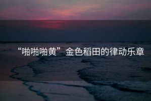 “啪啪啪黃”金色稻田的律動(dòng)樂(lè )章