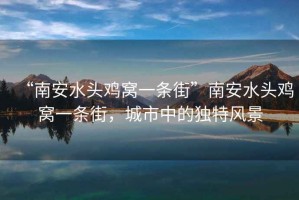 “南安水頭雞窩一條街”南安水頭雞窩一條街，城市中的獨特風(fēng)景