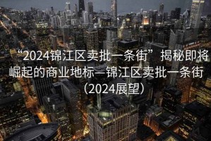 “2024錦江區賣(mài)批一條街”揭秘即將崛起的商業(yè)地標—錦江區賣(mài)批一條街（2024展望）
