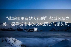 “鹽城哪里有站大街的”鹽城風(fēng)景之美，探尋城市中的文化歷史與街頭風(fēng)情