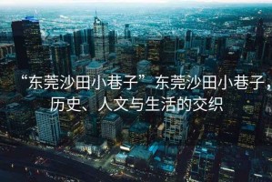 “東莞沙田小巷子”東莞沙田小巷子，歷史、人文與生活的交織