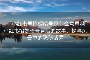 “小紅書(shū)里招嫖暗號是什么意思啊”小紅書(shū)招嫖暗號背后的故事，探尋風(fēng)景中的隱秘話(huà)題