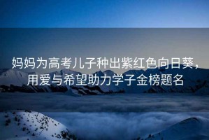 媽媽為高考兒子種出紫紅色向日葵，用愛(ài)與希望助力學(xué)子金榜題名