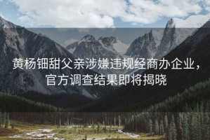 黃楊鈿甜父親涉嫌違規經(jīng)商辦企業(yè)，官方調查結果即將揭曉