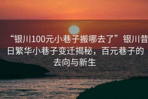 “銀川100元小巷子搬哪去了”銀川昔日繁華小巷子變遷揭秘，百元巷子的去向與新生