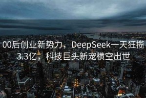 00后創(chuàng  )業(yè)新勢力，DeepSeek一天狂攬3.3億，科技巨頭新寵橫空出世