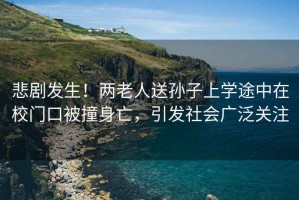 悲劇發(fā)生！兩老人送孫子上學(xué)途中在校門(mén)口被撞身亡，引發(fā)社會(huì )廣泛關(guān)注