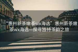 “惠州新茶嫩茶wx海選”惠州新茶嫩茶wx海選—探尋獨特茶韻之旅