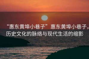 “惠東黃埠小巷子”惠東黃埠小巷子，歷史文化的脈絡(luò )與現代生活的縮影