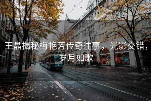 王晶揭秘梅艷芳傳奇往事，光影交錯，歲月如歌