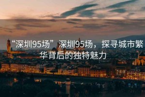 “深圳95場(chǎng)”深圳95場(chǎng)，探尋城市繁華背后的獨特魅力