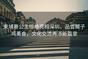 柬埔寨公主驚艷亮相深圳，品嘗椰子雞美食，文化交流再添新篇章