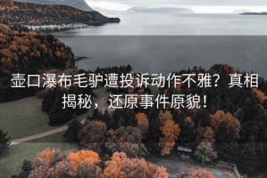 壺口瀑布毛驢遭投訴動(dòng)作不雅？真相揭秘，還原事件原貌！