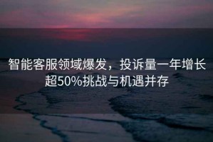 智能客服領(lǐng)域爆發(fā)，投訴量一年增長(cháng)超50%挑戰與機遇并存