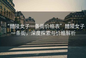 “醴陵女子一條街價(jià)格表”醴陵女子一條街，深度探索與價(jià)格解析