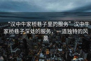 “漢中牛家橋巷子里的服務(wù)”漢中牛家橋巷子深處的服務(wù)，一道獨特的風(fēng)景