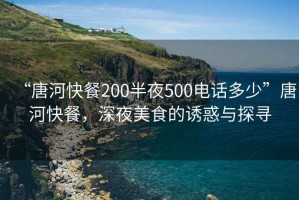 “唐河快餐200半夜500電話(huà)多少”唐河快餐，深夜美食的誘惑與探尋