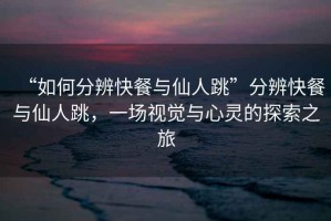 “如何分辨快餐與仙人跳”分辨快餐與仙人跳，一場(chǎng)視覺(jué)與心靈的探索之旅