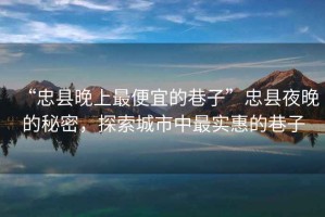 “忠縣晚上最便宜的巷子”忠縣夜晚的秘密，探索城市中最實(shí)惠的巷子