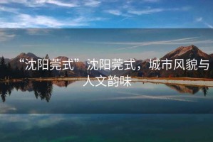 “沈陽(yáng)莞式”沈陽(yáng)莞式，城市風(fēng)貌與人文韻味
