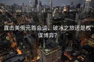 直擊美俄元首會(huì )談，破冰之旅還是權謀博弈？