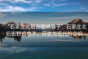 “石家莊北后街野雞巷子”石家莊北后街野雞巷子，歷史與現代的交織