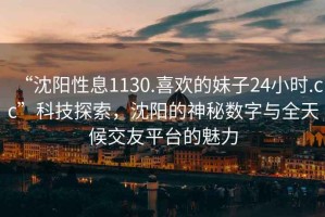 “沈陽(yáng)性息1130.喜歡的妹子24小時(shí).cc”科技探索，沈陽(yáng)的神秘數字與全天候交友平臺的魅力