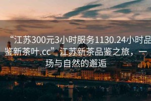 “江蘇300元3小時(shí)服務(wù)1130.24小時(shí)品鑒新茶葉.cc”江蘇新茶品鑒之旅，一場(chǎng)與自然的邂逅