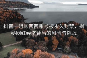 抖音一姐顧茜茜賬號被永久封禁，揭秘網(wǎng)紅經(jīng)濟背后的風(fēng)險與挑戰