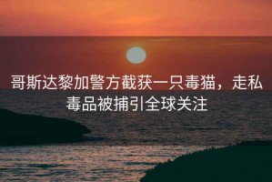 哥斯達黎加警方截獲一只毒貓，走私毒品被捕引全球關(guān)注