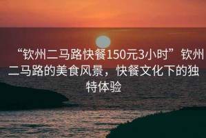 “欽州二馬路快餐150元3小時(shí)”欽州二馬路的美食風(fēng)景，快餐文化下的獨特體驗