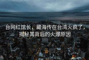 臺網(wǎng)紅館長(cháng)，藏海傳在臺灣火瘋了，揭秘其背后的火爆原因