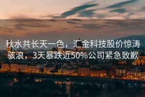 秋水共長(cháng)天一色，匯金科技股價(jià)驚濤駭浪，3天暴跌近50%公司緊急致歉