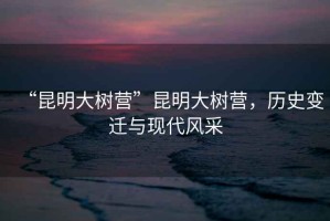 “昆明大樹(shù)營(yíng)”昆明大樹(shù)營(yíng)，歷史變遷與現代風(fēng)采