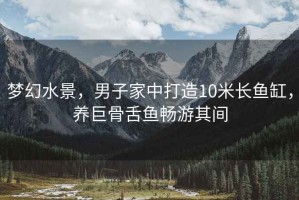 夢(mèng)幻水景，男子家中打造10米長(cháng)魚(yú)缸，養巨骨舌魚(yú)暢游其間