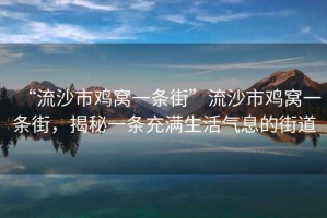“流沙市雞窩一條街”流沙市雞窩一條街，揭秘一條充滿(mǎn)生活氣息的街道