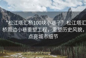 “松江塔匯橋100塊小巷子”松江塔匯橋周邊小巷重塑工程，重塑歷史風(fēng)貌，點(diǎn)亮城市細節