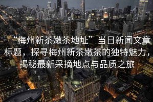 “梅州新茶嫩茶地址”當日新聞文章標題，探尋梅州新茶嫩茶的獨特魅力，揭秘最新采摘地點(diǎn)與品質(zhì)之旅