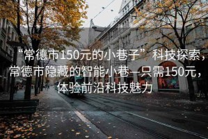 “常德市150元的小巷子”科技探索，常德市隱藏的智能小巷—只需150元，體驗前沿科技魅力