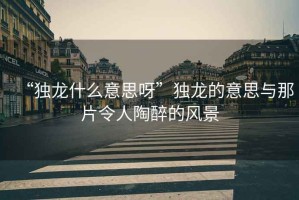 “獨龍什么意思呀”獨龍的意思與那片令人陶醉的風(fēng)景
