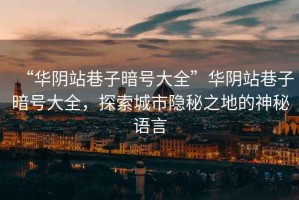 “華陰站巷子暗號大全”華陰站巷子暗號大全，探索城市隱秘之地的神秘語(yǔ)言