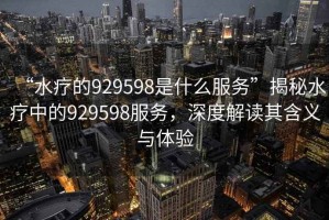 “水療的929598是什么服務(wù)”揭秘水療中的929598服務(wù)，深度解讀其含義與體驗