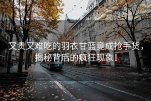 又貴又難吃的羽衣甘藍竟成搶手貨，揭秘背后的瘋狂現象！