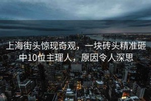 上海街頭驚現奇觀(guān)，一塊磚頭精準砸中10位主理人，原因令人深思