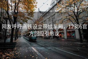網(wǎng)友呼吁高鐵設立帶娃車(chē)廂，12306官方回應引熱議