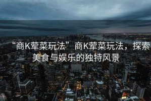 “商K葷菜玩法”商K葷菜玩法，探索美食與娛樂(lè )的獨特風(fēng)景