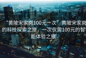 “黃陂宋家崗100元一次”黃陂宋家崗的科技探索之旅，一次僅需100元的智能體驗之旅