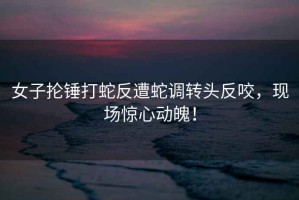 女子掄錘打蛇反遭蛇調轉頭反咬，現場(chǎng)驚心動(dòng)魄！