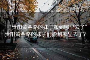“貴陽(yáng)黃金路的妹子搬到哪里去了”貴陽(yáng)黃金路的妹子們搬到哪里去了？