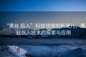 “黑絲 后入”科技領(lǐng)域的新寵兒，黑絲后入技術(shù)的探索與應用